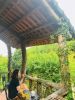 nha-trong-suoi - ảnh nhỏ 5